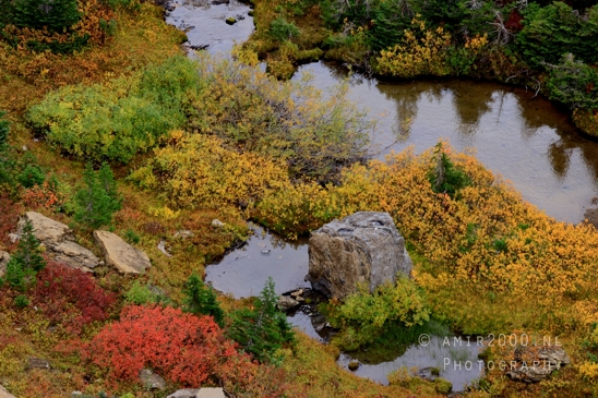 Glacier_National_Park_Montana_USA_landscape_nature_Photography_095_Canon_EOS_R5_Mark_II.JPG