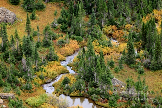 Glacier_National_Park_Montana_USA_landscape_nature_Photography_097_Canon_EOS_R5_Mark_II.JPG