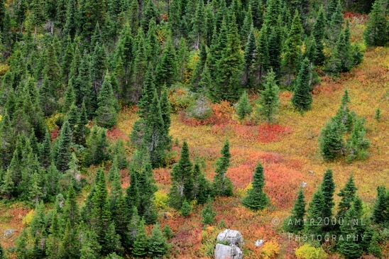 Glacier_National_Park_Montana_USA_landscape_nature_Photography_098_Canon_EOS_R5_Mark_II.JPG
