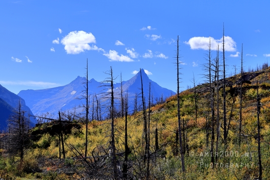 Glacier_National_Park_Montana_USA_landscape_nature_Photography_128_Canon_EOS_R5_Mark_II.JPG