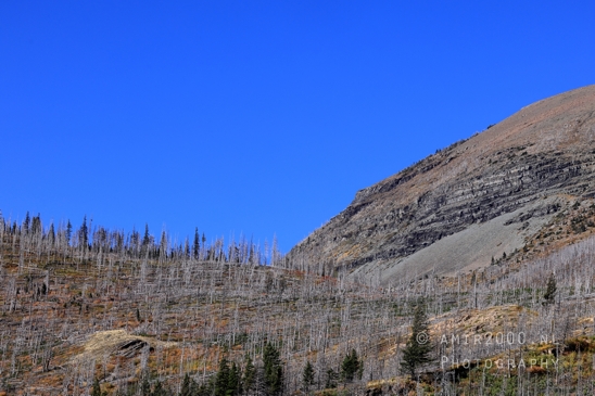 Glacier_National_Park_Montana_USA_landscape_nature_Photography_140_Canon_EOS_R5_Mark_II.JPG