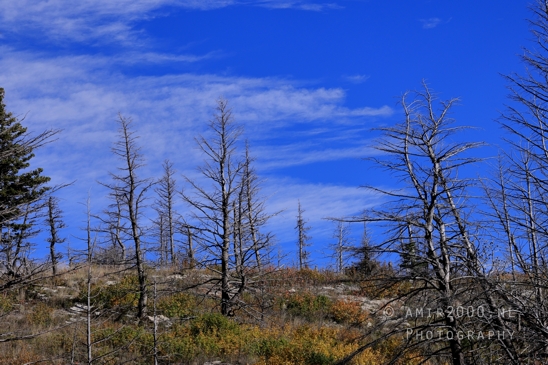 Glacier_National_Park_Montana_USA_landscape_nature_Photography_142_Canon_EOS_R5_Mark_II.JPG