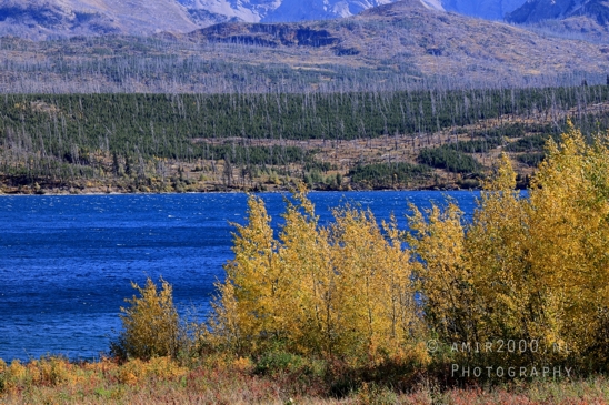 Glacier_National_Park_Montana_USA_landscape_nature_Photography_156_Canon_EOS_R5_Mark_II.JPG