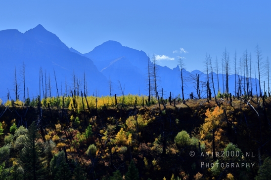 Glacier_National_Park_Montana_USA_landscape_nature_Photography_164_Canon_EOS_R5_Mark_II.JPG