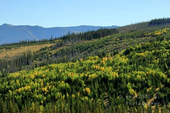 Glacier_National_Park_Montana_USA_landscape_nature_Photography_170_Canon_EOS_R5_Mark_II.JPG