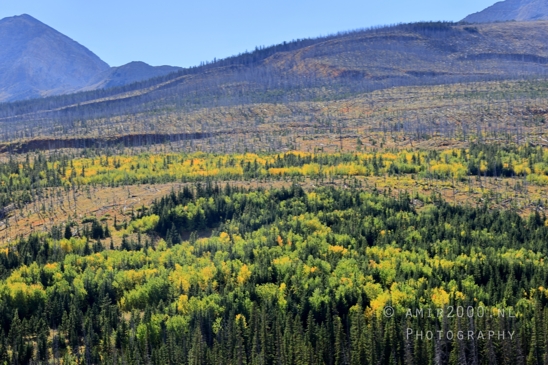 Glacier_National_Park_Montana_USA_landscape_nature_Photography_171_Canon_EOS_R5_Mark_II.JPG