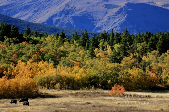 Glacier_National_Park_Montana_USA_landscape_nature_Photography_209_Canon_EOS_R5_Mark_II.JPG