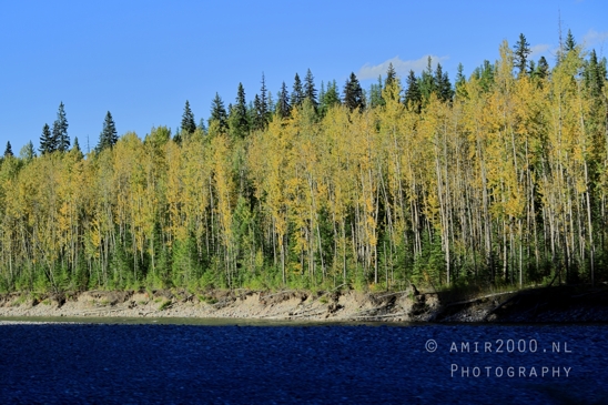 Glacier_National_Park_Montana_USA_landscape_nature_Photography_217_Canon_EOS_R5_Mark_II.JPG