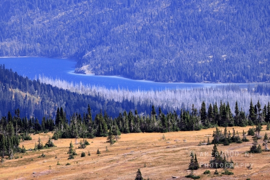 Hidden_Lake_Glacier_National_Park_Montana_USA_landscape_nature_Photography_015_Canon_EOS_R5_Mark_II.JPG