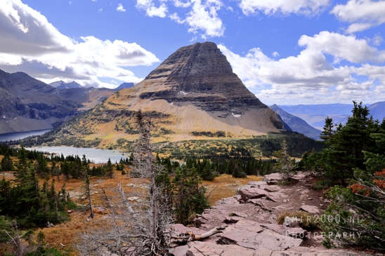 Hidden_Lake_Glacier_National_Park_Montana_USA_landscape_nature_Photography_024_Canon_EOS_R5_Mark_II.JPG