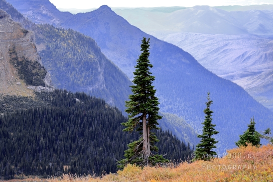 Hidden_Lake_Glacier_National_Park_Montana_USA_landscape_nature_Photography_040_Canon_EOS_R5_Mark_II.JPG