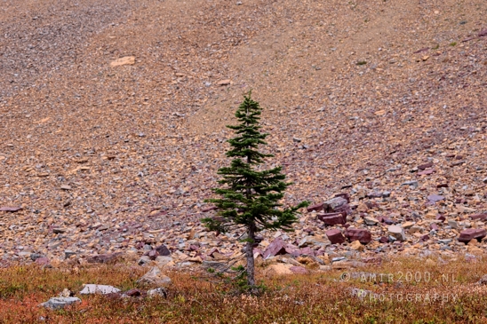 Hidden_Lake_Glacier_National_Park_Montana_USA_landscape_nature_Photography_041_Canon_EOS_R5_Mark_II.JPG