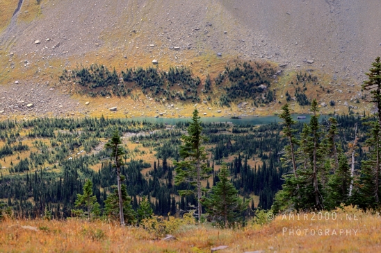Hidden_Lake_Glacier_National_Park_Montana_USA_landscape_nature_Photography_046_Canon_EOS_R5_Mark_II.JPG