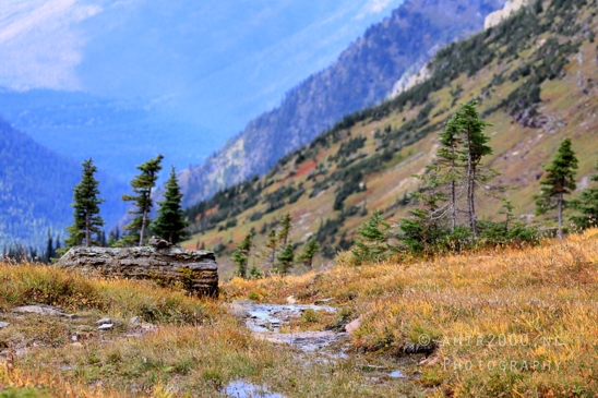 Hidden_Lake_Glacier_National_Park_Montana_USA_landscape_nature_Photography_047_Canon_EOS_R5_Mark_II.JPG