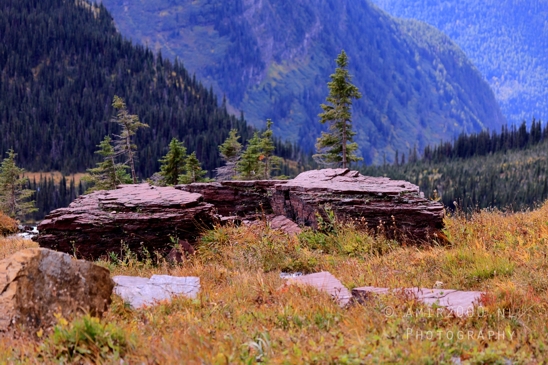 Hidden_Lake_Glacier_National_Park_Montana_USA_landscape_nature_Photography_058_Canon_EOS_R5_Mark_II.JPG