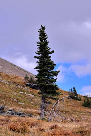 Hidden_Lake_Glacier_National_Park_Montana_USA_landscape_nature_Photography_064_Canon_EOS_R5_Mark_II.JPG