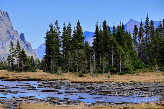 Hidden_Lake_Glacier_National_Park_Montana_USA_landscape_nature_Photography_068_Canon_EOS_R5_Mark_II.JPG