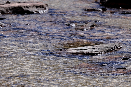 Hidden_Lake_Glacier_National_Park_Montana_USA_landscape_nature_Photography_069_Canon_EOS_R5_Mark_II.JPG