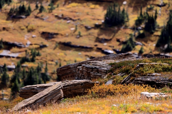 Hidden_Lake_Glacier_National_Park_Montana_USA_landscape_nature_Photography_076_Canon_EOS_R5_Mark_II.JPG