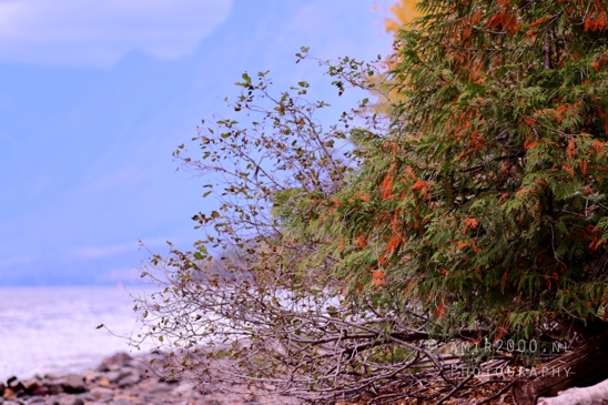 Lake_McDonald_Glacier_National_Park_Montana_USA_reflection_landscape_nature_Photography_007_Canon_EOS_R5_Mark_II.JPG