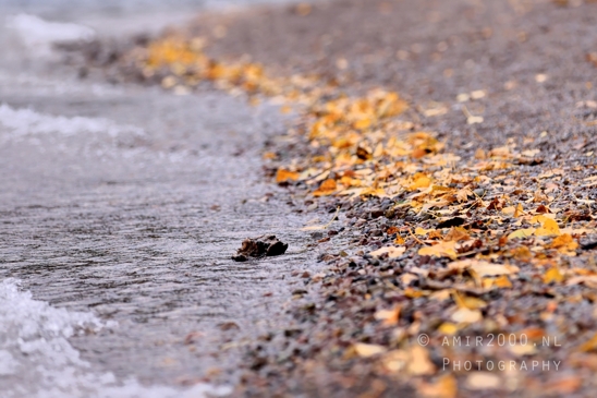 Lake_McDonald_Glacier_National_Park_Montana_USA_reflection_landscape_nature_Photography_021_Canon_EOS_R5_Mark_II.JPG