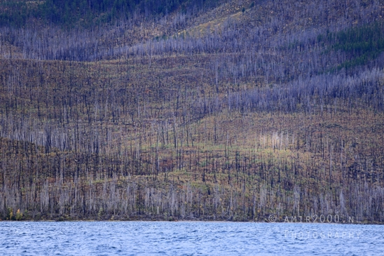 Lake_McDonald_Glacier_National_Park_Montana_USA_reflection_landscape_nature_Photography_023_Canon_EOS_R5_Mark_II.JPG