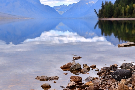 Lake_McDonald_Glacier_National_Park_Montana_USA_reflection_landscape_nature_Photography_053_Canon_EOS_R5_Mark_II.JPG