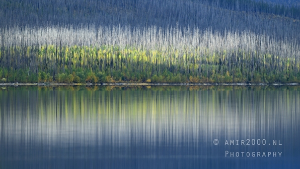 Lake_McDonald_Glacier_National_Park_Montana_USA_reflection_landscape_nature_Photography_067_Canon_EOS_R5_Mark_II.JPG