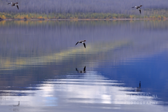 Lake_McDonald_Glacier_National_Park_Montana_USA_reflection_landscape_nature_Photography_076_Canon_EOS_R5_Mark_II.JPG