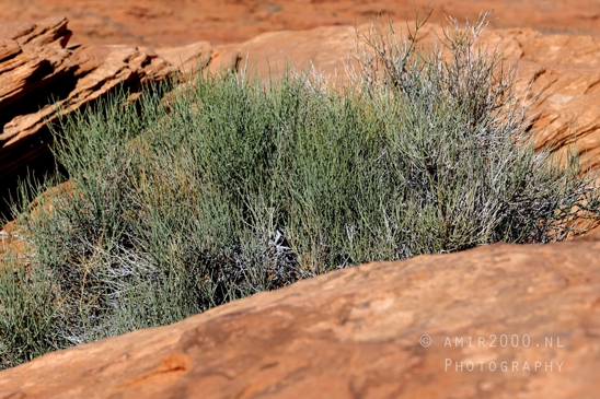Glen_Canyon_Dam_Overlook_Page_Arizona_USA_Colorado_River_nature_landscape_Photography_024_Canon_EOS_R5_Mark_II.JPG