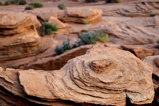 Horseshoe_Bend_Page_Arizona_USA_Colorado_River_sunrise_morning_colors_nature_landscape_Photography_055_Canon_EOS_R5_Mark_II.JPG