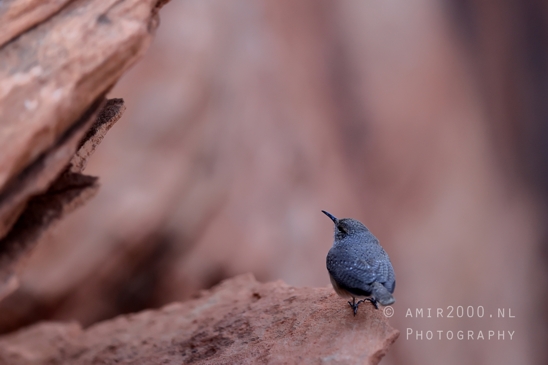 Discover the remarkable panorama of Page Arizona Usa as it displays its unique charm, captured with Canon EOS R5 Mark IIat