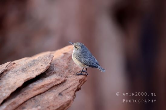 Immerse yourself in the breathtaking scenery of Page Arizona Usa, where every detail exhibits the true spirit of the