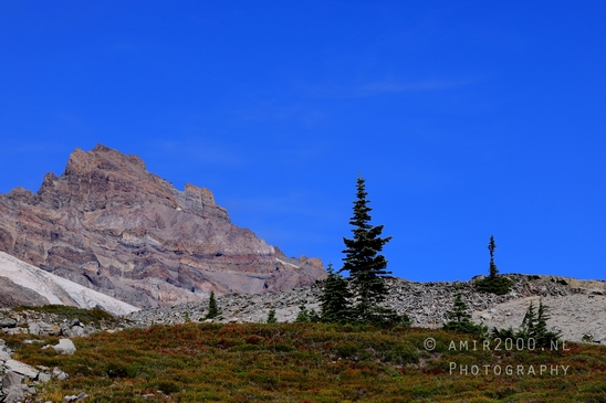 Mount_Rainier_National_Park_Washington_USA_landscape_nature_Photography_142_Canon_EOS_R5_Mark_II.JPG