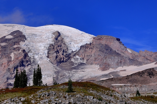 Mount_Rainier_National_Park_Washington_USA_landscape_nature_Photography_154_Canon_EOS_R5_Mark_II.JPG