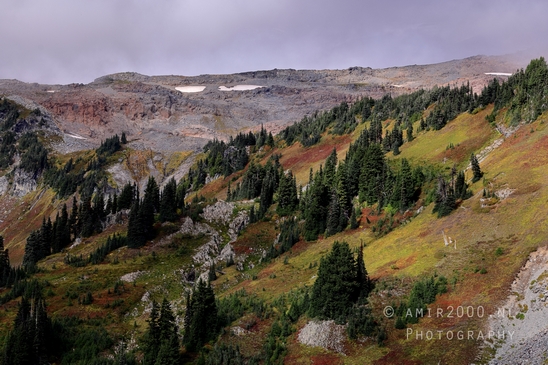 Mount_Rainier_National_Park_Washington_USA_landscape_nature_Photography_185_Canon_EOS_R5_Mark_II.JPG
