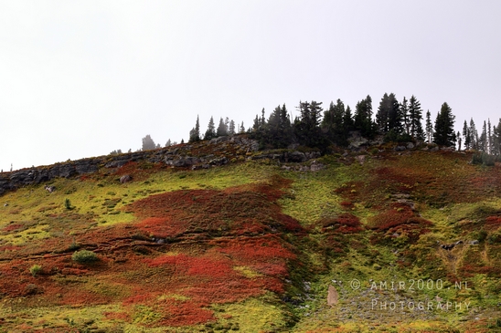 Mount_Rainier_National_Park_Washington_USA_landscape_nature_Photography_204_Canon_EOS_R5_Mark_II.JPG
