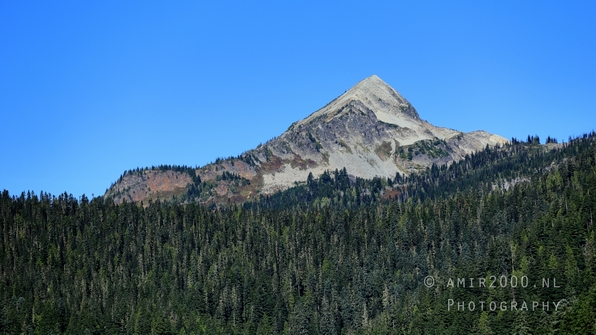 Mount_Rainier_National_Park_Washington_USA_landscape_nature_Photography_238_Canon_EOS_R5_Mark_II.JPG