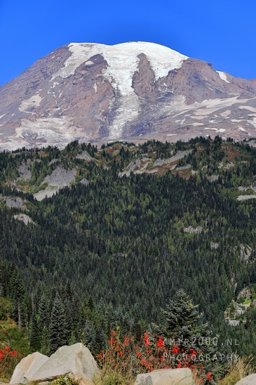 Mount_Rainier_National_Park_Washington_USA_landscape_nature_Photography_254_Canon_EOS_R5_Mark_II.JPG
