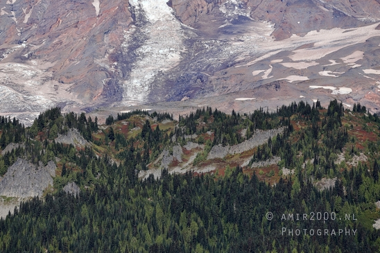 Mount_Rainier_National_Park_Washington_USA_landscape_nature_Photography_259_Canon_EOS_R5_Mark_II.JPG