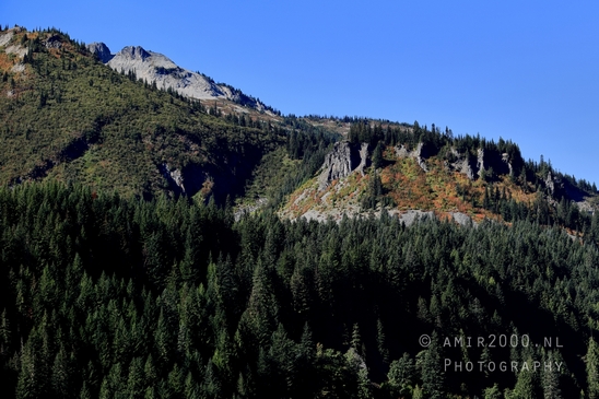 Mount_Rainier_National_Park_Washington_USA_landscape_nature_Photography_267_Canon_EOS_R5_Mark_II.JPG
