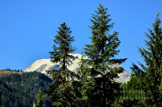 Mount_Rainier_National_Park_Washington_USA_landscape_nature_Photography_271_Canon_EOS_R5_Mark_II.JPG