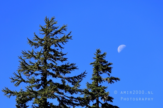 Mount_Rainier_National_Park_Washington_USA_landscape_nature_Photography_288_Canon_EOS_R5_Mark_II.JPG