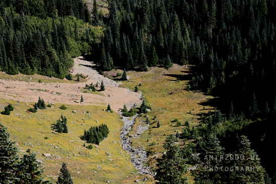 Mount_Rainier_National_Park_Washington_USA_landscape_nature_Photography_290_Canon_EOS_R5_Mark_II.JPG