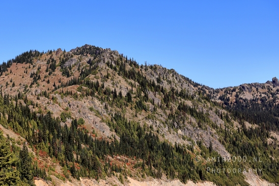 Mount_Rainier_National_Park_Washington_USA_landscape_nature_Photography_291_Canon_EOS_R5_Mark_II.JPG