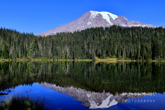 Mount_Rainier_National_Park_reflection_lake_Washington_USA_landscape_nature_Photography_004_Canon_EOS_R5_Mark_II.JPG