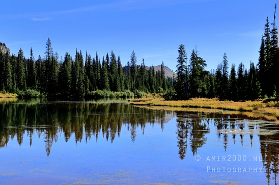 Mount_Rainier_National_Park_reflection_lake_Washington_USA_landscape_nature_Photography_006_Canon_EOS_R5_Mark_II.JPG