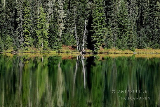 Mount_Rainier_National_Park_reflection_lake_Washington_USA_landscape_nature_Photography_021_Canon_EOS_R5_Mark_II.JPG