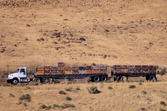 Open_Road_Western_USA_Highway_Motorcycles_Cars_Trucks_And_Scenes_Photography_033_Canon_EOS_R5_Mark_II.JPG
