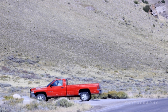 Open_Road_Western_USA_Highway_Motorcycles_Cars_Trucks_And_Scenes_Photography_129_Canon_EOS_R5_Mark_II.JPG